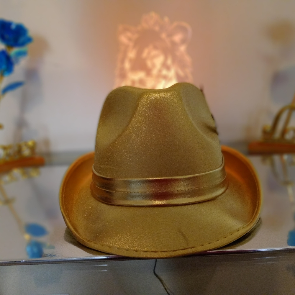 Fedoras - Picture 5 of 6